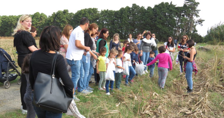 il ritorno della “Domenica in Famiglia”